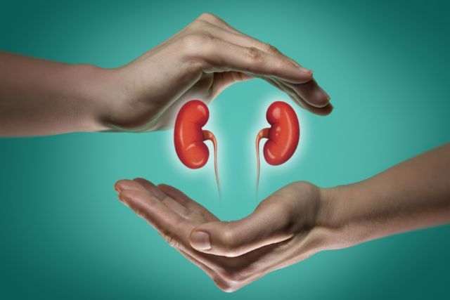 Early-stage kidney patients can manage their disease with the right know-how: Kidney Warriors Foundation